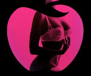 FFruit Support Logo